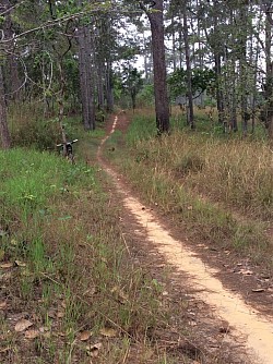 Big rides go for 40-50km, with break to resupply food and water, there are many routes